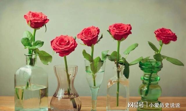 買來(lái)的鮮花如何保鮮更長(zhǎng)久教你5個(gè)簡(jiǎn)單技巧