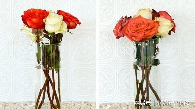 鮮花保鮮長時間讓它不開花_鮮花保鮮長時間讓它死亡_如何讓鮮花保鮮時間更長