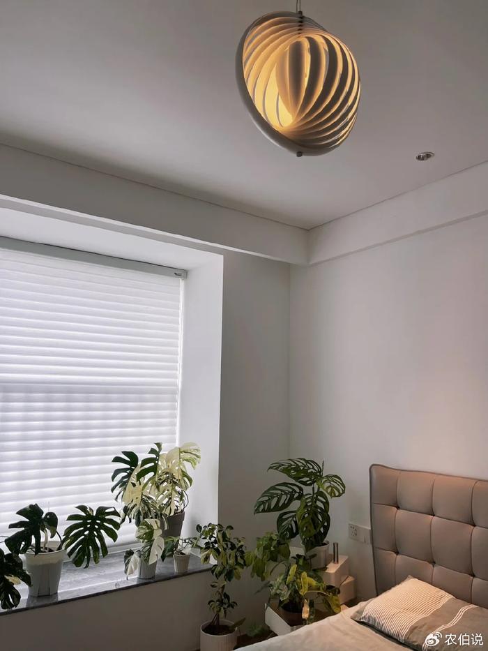 臥室里養(yǎng)花影響睡眠嗎_臥室養(yǎng)什么花助眠_什么花養(yǎng)在臥室里有助于睡眠