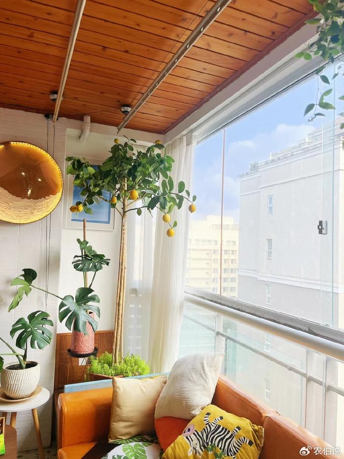 臥室里養(yǎng)花影響睡眠嗎_什么花養(yǎng)在臥室里有助于睡眠_臥室養(yǎng)什么花助眠