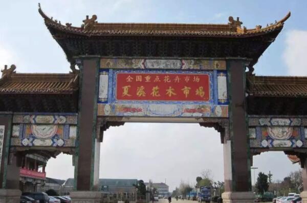 <strong>中國十大花卉批發(fā)市場，江蘇上榜兩處，第一是中國最大鮮切花市場(2)</strong>