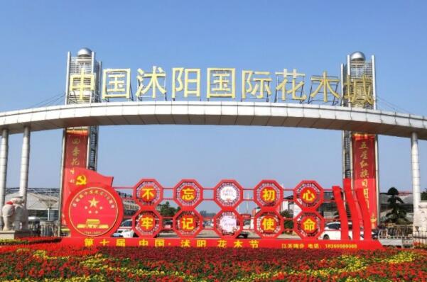 花卉批發(fā)市場一覽_花卉市場批發(fā)_離我最近的花卉批發(fā)市場