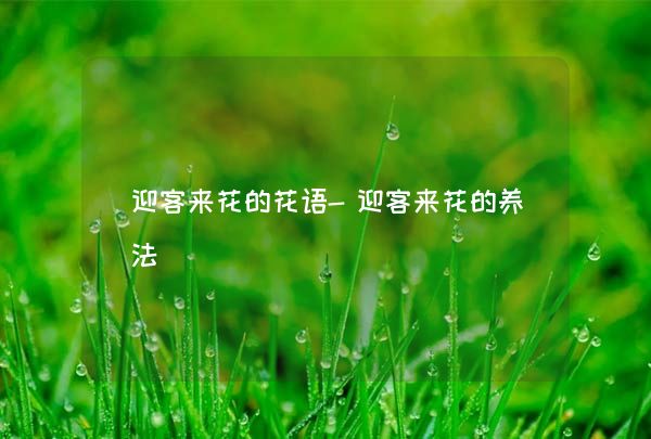 迎客來花的養(yǎng)法_迎客來花的養(yǎng)殖方法和注意事項(xiàng)_迎客來怎么養(yǎng)殖