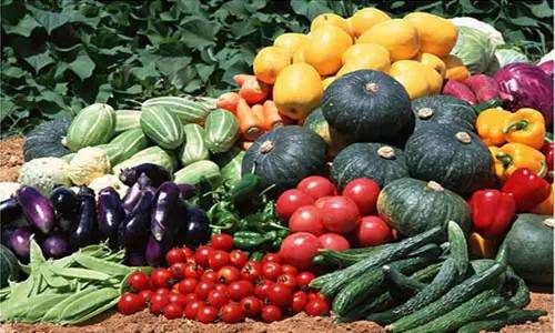 附近的花卉批發(fā)市場在哪里_花卉批發(fā)附近市場在哪里_附近的花卉市場批發(fā)