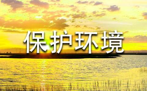 鮮花可以保持幾天不枯萎_鮮花時間長了就干了嗎_鮮花要怎么養(yǎng)才能放久一點