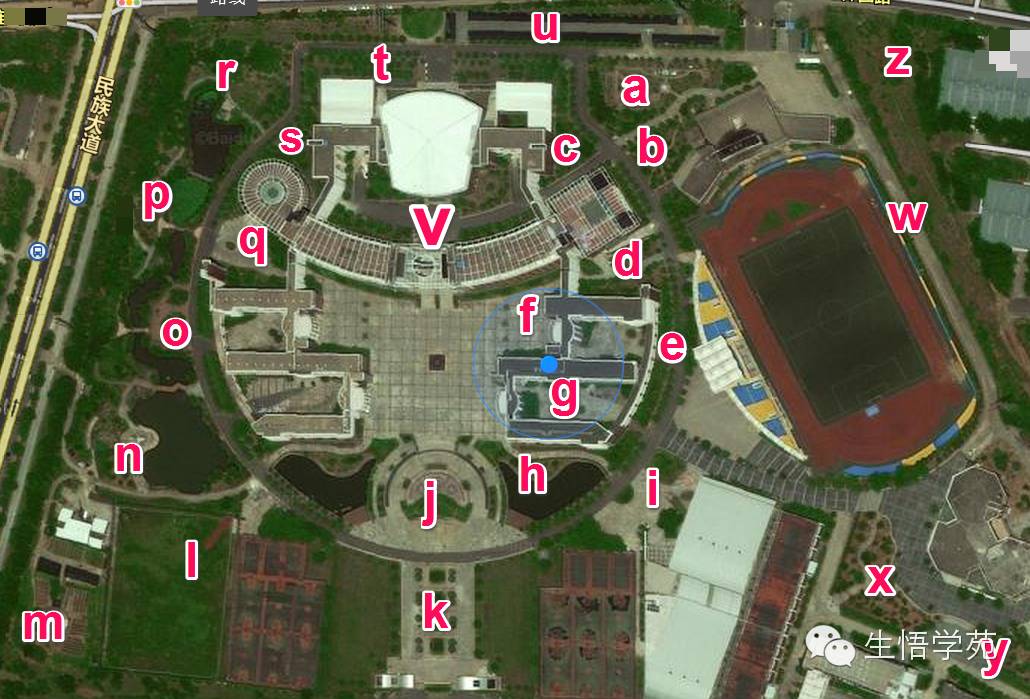 多肉花有什么特點(diǎn)_多肉花的特點(diǎn)及用處_多肉有哪些花