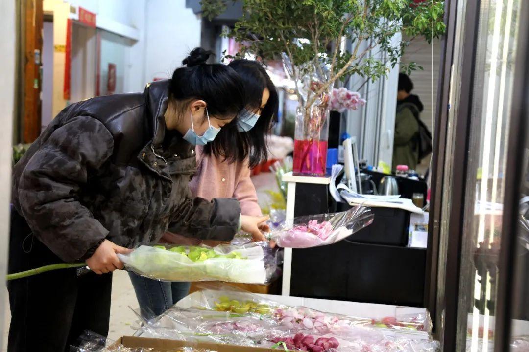 花卉批發(fā)綠植市場(chǎng)在哪里_花卉綠植批發(fā)市場(chǎng)多少錢_綠植花卉批發(fā)市場(chǎng)