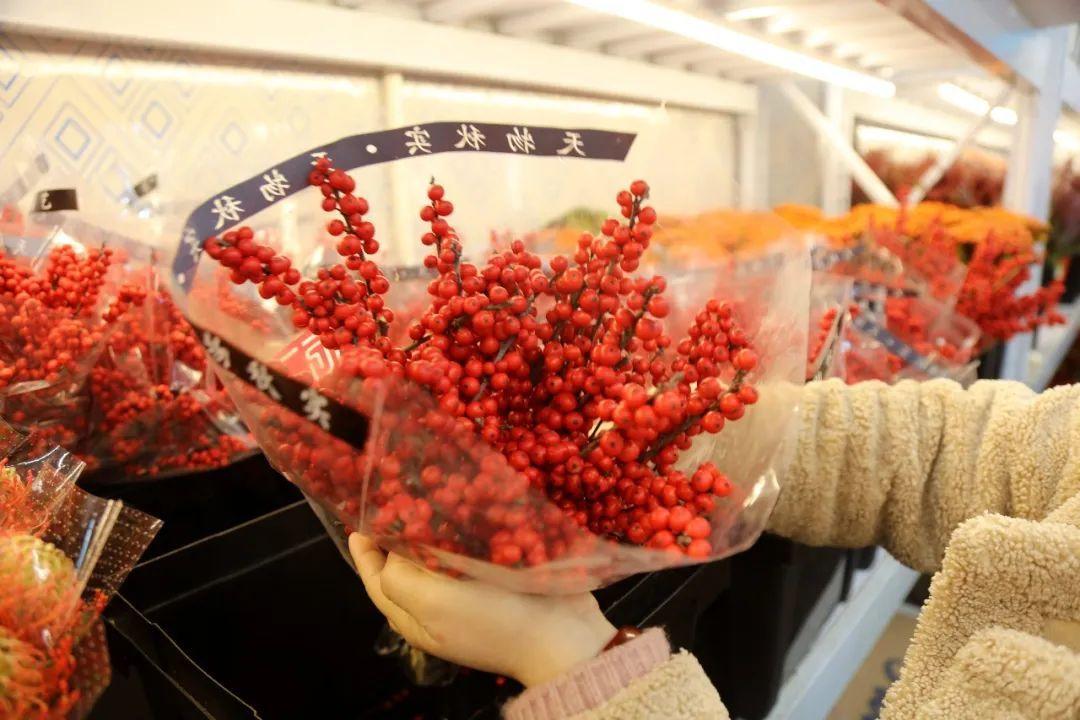 花卉綠植批發(fā)市場(chǎng)多少錢_綠植花卉批發(fā)市場(chǎng)_花卉批發(fā)綠植市場(chǎng)在哪里