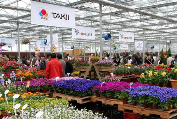 花卉批發(fā)市場一覽_花卉市場批發(fā)_離我最近的花卉批發(fā)市場