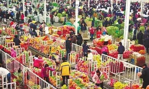附近的花卉市場批發(fā)_附近的花卉批發(fā)市場在哪里_花卉批發(fā)附近市場在哪里