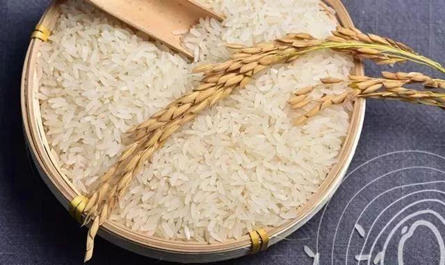 朋友搬家送綠植一顆還是兩顆好_朋友搬家送什么綠植好_送搬家綠植朋友好不好