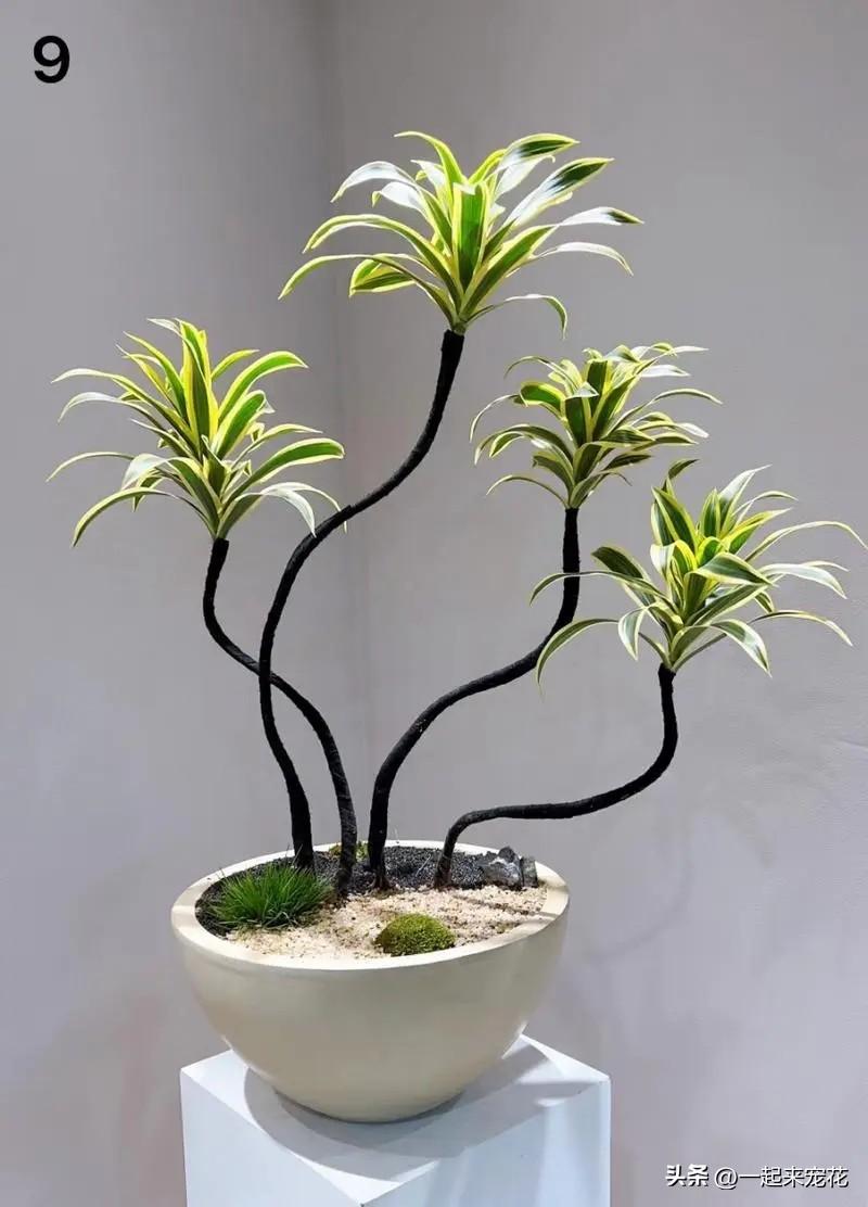 臥室養(yǎng)花可以開(kāi)空調(diào)嗎_臥室養(yǎng)花可以用吡蟲(chóng)啉嗎_臥室可以養(yǎng)花嗎