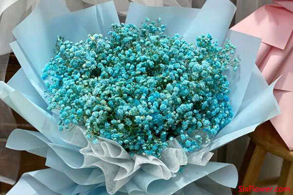 表白送滿天星好不好？表白送哪種花適合？