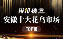 成都花鳥(niǎo)市場(chǎng)_成都市場(chǎng)花鳥(niǎo)市場(chǎng)價(jià)格_成都市場(chǎng)花鳥(niǎo)市場(chǎng)地址