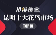 成都花鳥(niǎo)市場(chǎng)_成都市場(chǎng)花鳥(niǎo)市場(chǎng)地址_成都市場(chǎng)花鳥(niǎo)市場(chǎng)價(jià)格