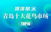 成都花鳥(niǎo)市場(chǎng)_成都市場(chǎng)花鳥(niǎo)市場(chǎng)價(jià)格_成都市場(chǎng)花鳥(niǎo)市場(chǎng)地址