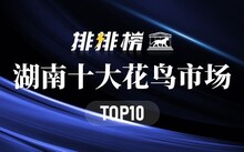 成都花鳥(niǎo)市場(chǎng)_成都市場(chǎng)花鳥(niǎo)市場(chǎng)價(jià)格_成都市場(chǎng)花鳥(niǎo)市場(chǎng)地址