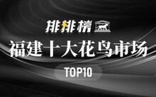成都市場(chǎng)花鳥(niǎo)市場(chǎng)地址_成都市場(chǎng)花鳥(niǎo)市場(chǎng)價(jià)格_成都花鳥(niǎo)市場(chǎng)