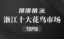 成都市場(chǎng)花鳥(niǎo)市場(chǎng)地址_成都市場(chǎng)花鳥(niǎo)市場(chǎng)價(jià)格_成都花鳥(niǎo)市場(chǎng)