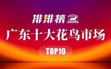 成都市場(chǎng)花鳥(niǎo)市場(chǎng)價(jià)格_成都花鳥(niǎo)市場(chǎng)_成都市場(chǎng)花鳥(niǎo)市場(chǎng)地址