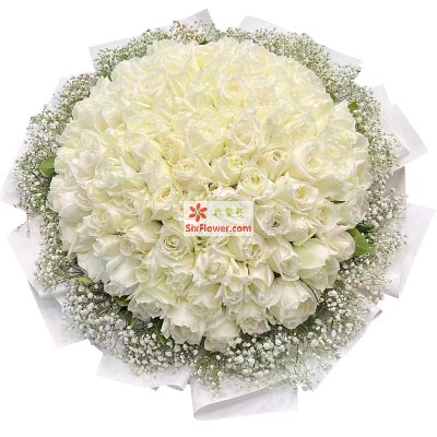 送愛(ài)人合適玫瑰花的花語(yǔ)_送愛(ài)人合適玫瑰花嗎_送愛(ài)人玫瑰花幾朵合適