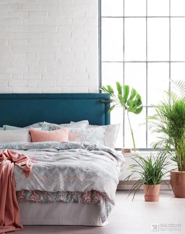 臥室能養(yǎng)花嗎風(fēng)水_臥室能養(yǎng)花嗎養(yǎng)什么花_臥室能養(yǎng)花嗎