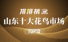 成都市場花鳥市場價(jià)格_成都市場花鳥市場地址_成都花鳥市場