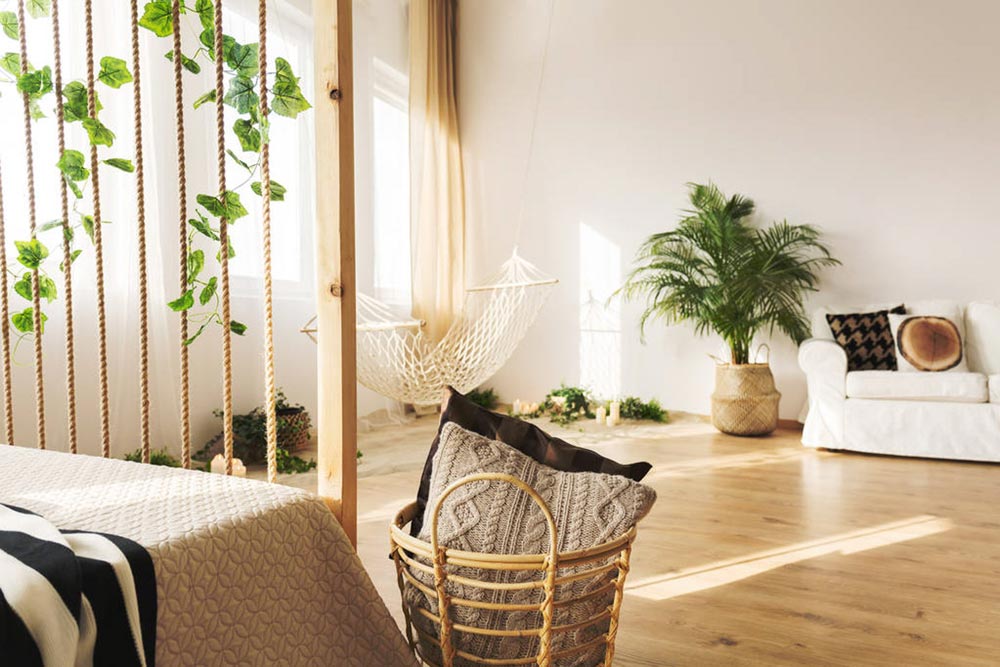 家里養(yǎng)花好嗎_養(yǎng)花家里有小黑飛怎么辦_養(yǎng)花家里有小飛蟲怎么辦