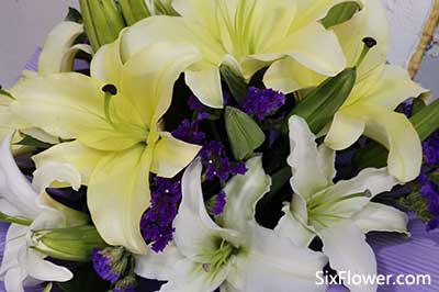 妹妹給姐姐送花送什么花好？