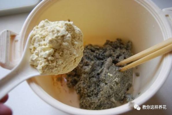 葉子養(yǎng)日常多肉好嗎_葉子養(yǎng)多肉的日常生活_葉子養(yǎng)多肉的日常