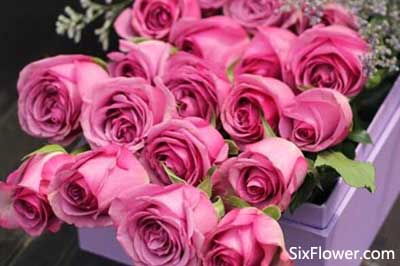 過(guò)生日送玫瑰花代表什么意思_送生日玫瑰花可以嗎_生日可以送玫瑰花嗎