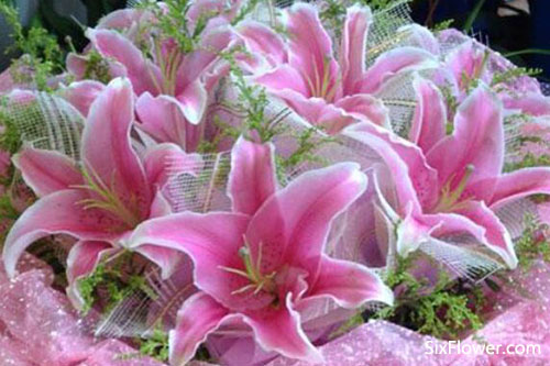 老人祝壽送花，為老人祝壽送什么花好？