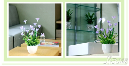 什么花適合在臥室養(yǎng)_臥室適合養(yǎng)的花_臥室養(yǎng)適合花草的植物