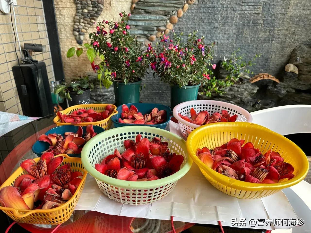 老人稱它為“英雄花”，又有“祛濕花”之稱，遇見都會(huì)撿些帶回家