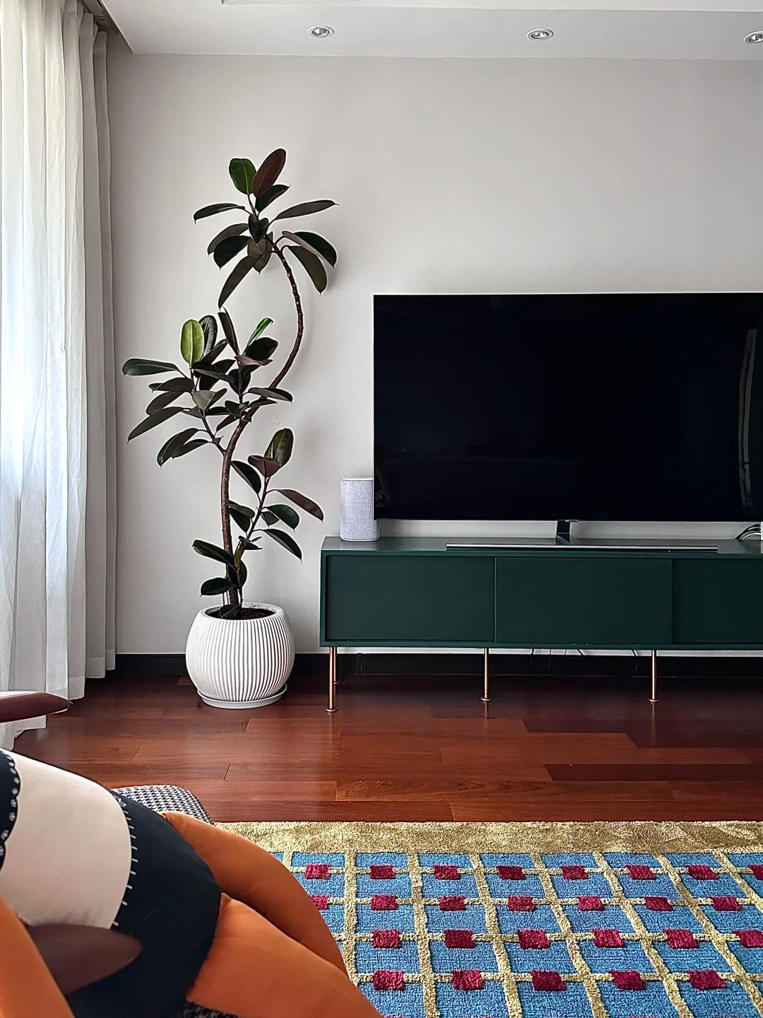 客廳養(yǎng)綠植適合有什么花_適合在客廳養(yǎng)的綠植有哪些_客廳養(yǎng)綠植適合有什么植物