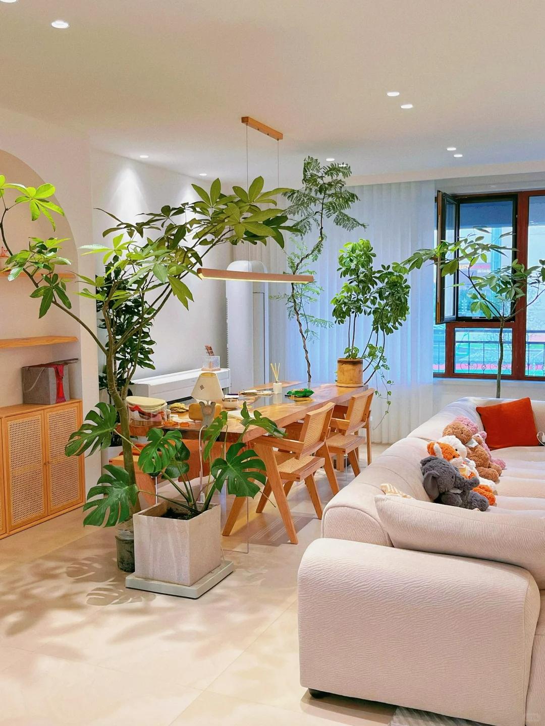 客廳養(yǎng)綠植適合有什么植物_適合在客廳養(yǎng)的綠植有哪些_客廳養(yǎng)綠植適合有什么花