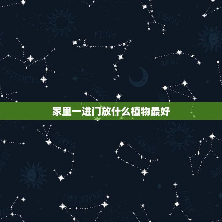 <strong>家里一進(jìn)門放什么植物最好，家居風(fēng)水 一進(jìn)門擺什么植物最好</strong>