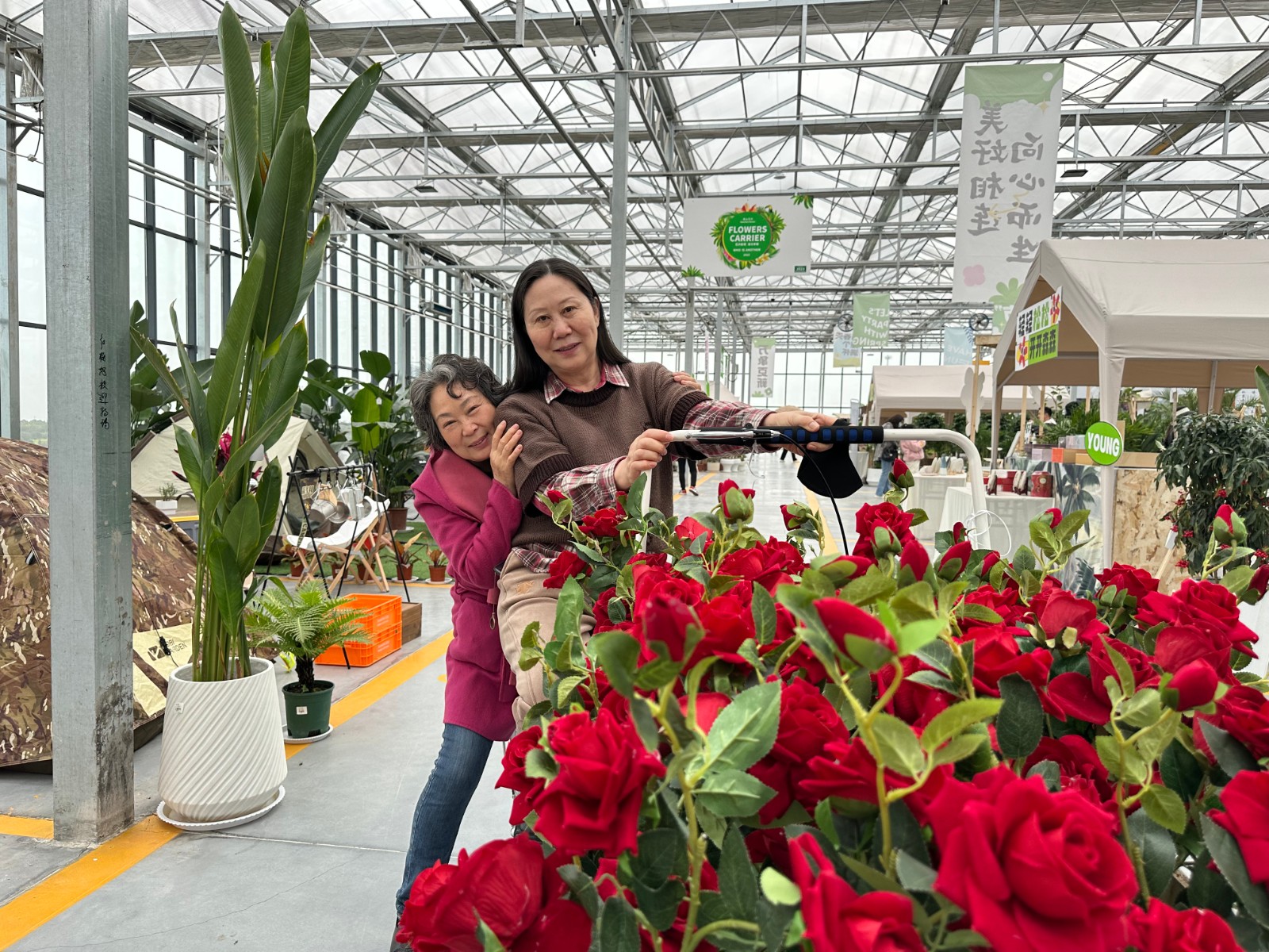 洛陽花卉市場電話號碼_洛陽花卉市場_洛陽市花卉市場營業(yè)時(shí)間