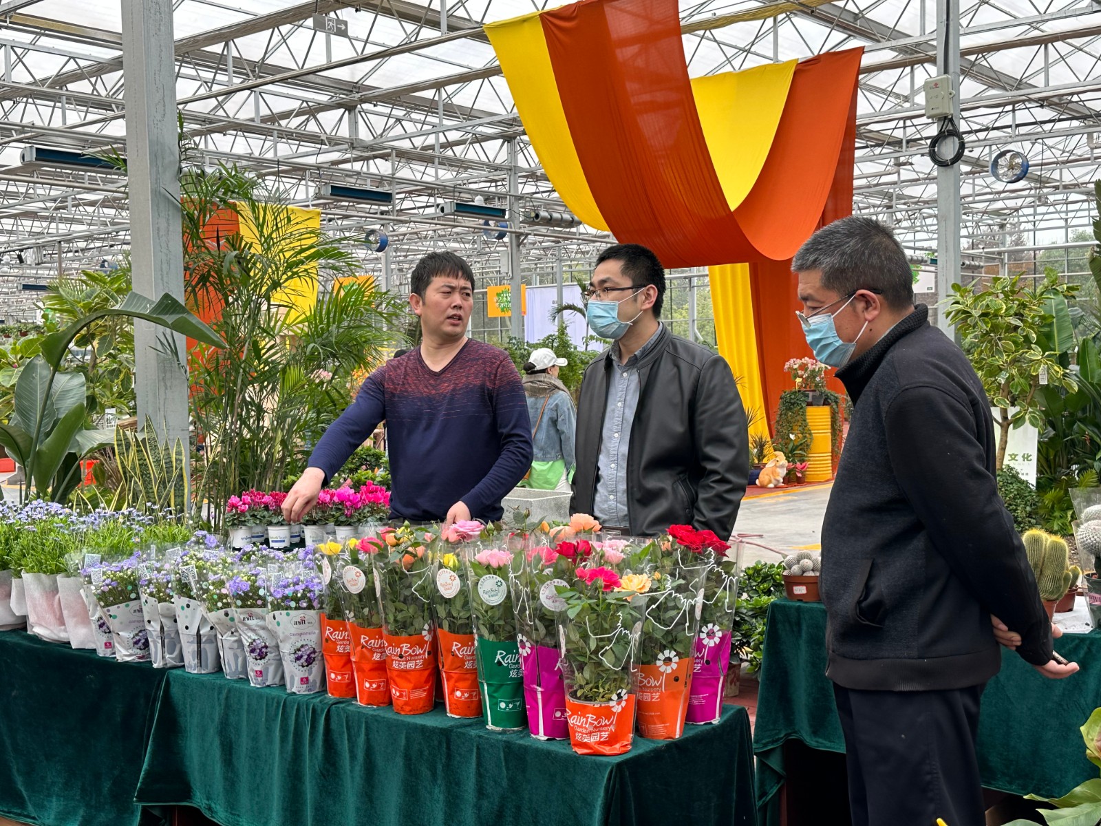 洛陽花卉市場_洛陽花卉市場電話號碼_洛陽市花卉市場營業(yè)時(shí)間