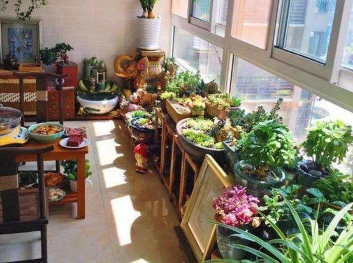 陽臺(tái)養(yǎng)植物好嗎_陽臺(tái)養(yǎng)植物好不好_最好養(yǎng)的陽臺(tái)植物