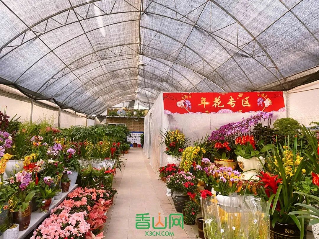 珠海市花卉批發(fā)市場_珠?；ɑ苁袌雠l(fā)市場_珠?；ɑ苁袌瞿睦锉阋?/></p>
<p>這個(gè)格馨花卉世界，就在東坑村的附近。好幾條長長的花街，每家店都眼花繚亂到讓人挪不動(dòng)腳步。</p>
<p><img src=