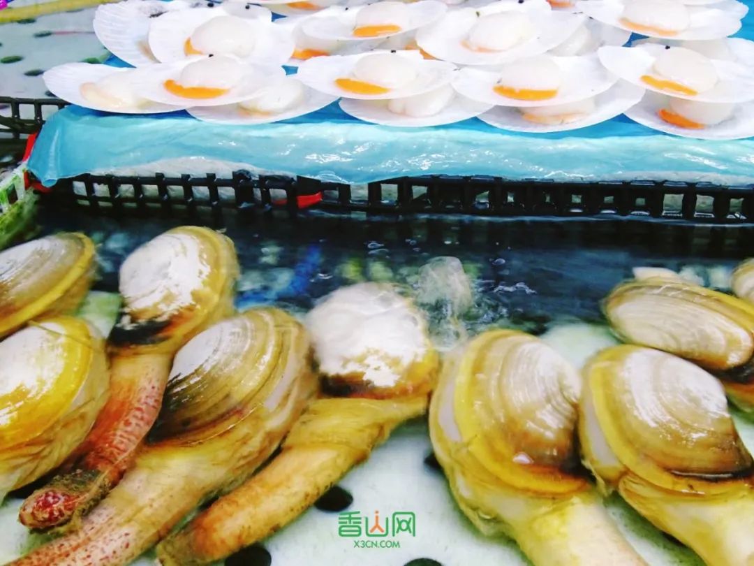 珠?；ɑ苁袌雠l(fā)市場_珠海市花卉批發(fā)市場_珠?；ɑ苁袌瞿睦锉阋?/></p>
<p><img src=