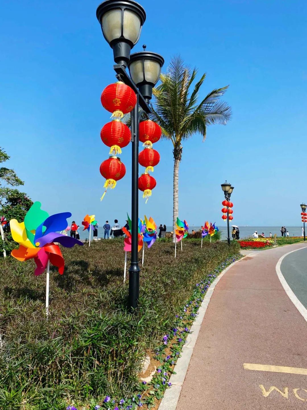 珠海市花卉批發(fā)市場_珠海花卉市場批發(fā)市場_珠?；ɑ苁袌瞿睦锉阋?/></p>
<p>情侶路邊，一棵棵大榕樹上，也被掛滿一串串紅燈籠，讓整座城市都洋溢著喜慶的年味。</p>
<p><img src=