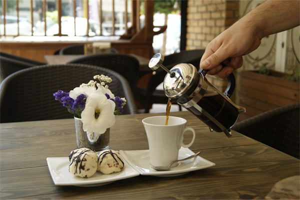 客廳放的大型綠植(客廳放的大型綠植是什么)