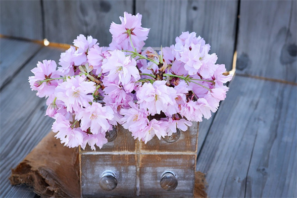 今年流行什么玫瑰花(今年流行玫瑰金嗎)