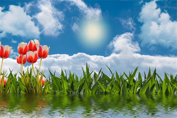 怎樣判斷花盆的干濕度 怎么判斷花盆干濕不透