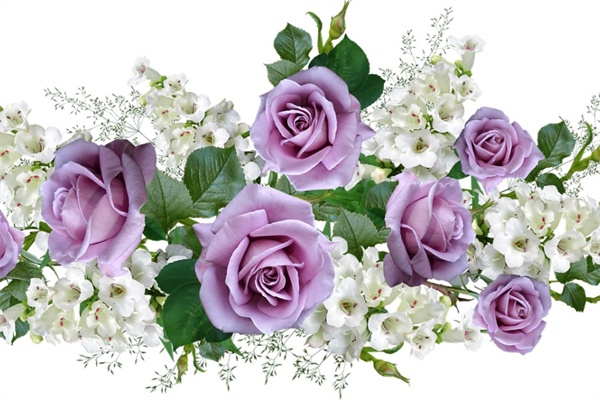 南京同城鮮花速遞網(wǎng)(南京同城鮮花速遞網(wǎng)點(diǎn))