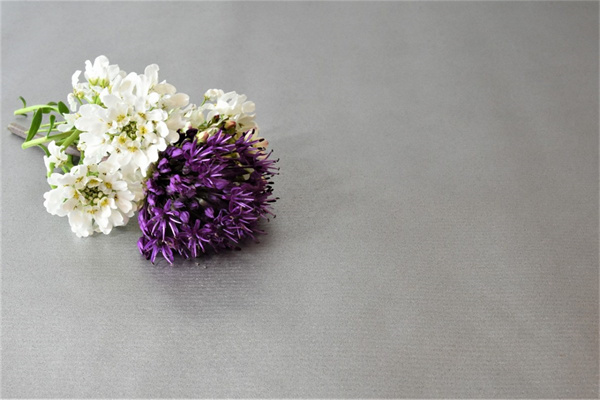 北京花卉綠植批發(fā)市場(chǎng)比較大的(北京最大花卉批發(fā)基地)